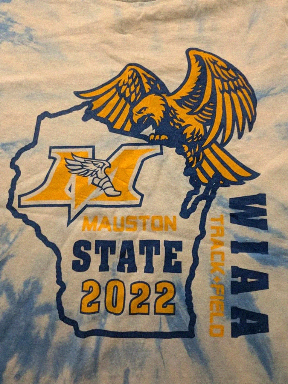 T-shirt Mauston State 2022 tie dye eagle bleu ciel vintage Usa S – Gildan – taille S 4