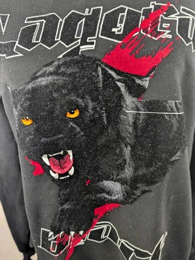 Magnifique sweat Lagora Xxl – panthère – streetwear graphique Hip hop Y2K urban mixte – Lagora – taille XXL 4