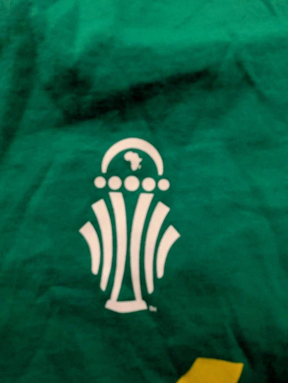 T-shirt Puma Sénégal Caf 2024 Vert Officiel Football Taille L – Puma – taille L 4