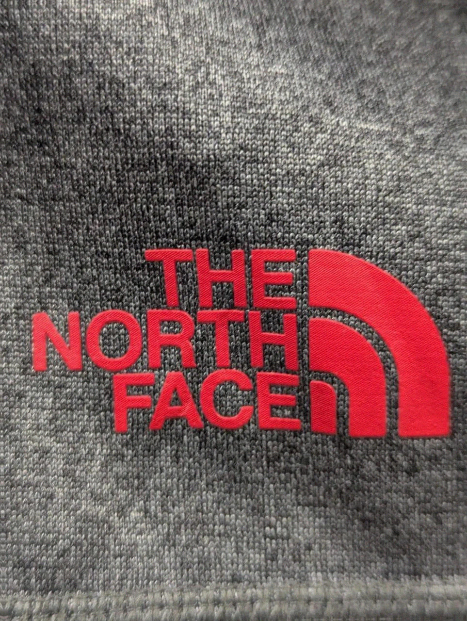 Veste zippée The North Face capuche gris beige outdoor gorpcore technique homme L – The North Face – taille L 4