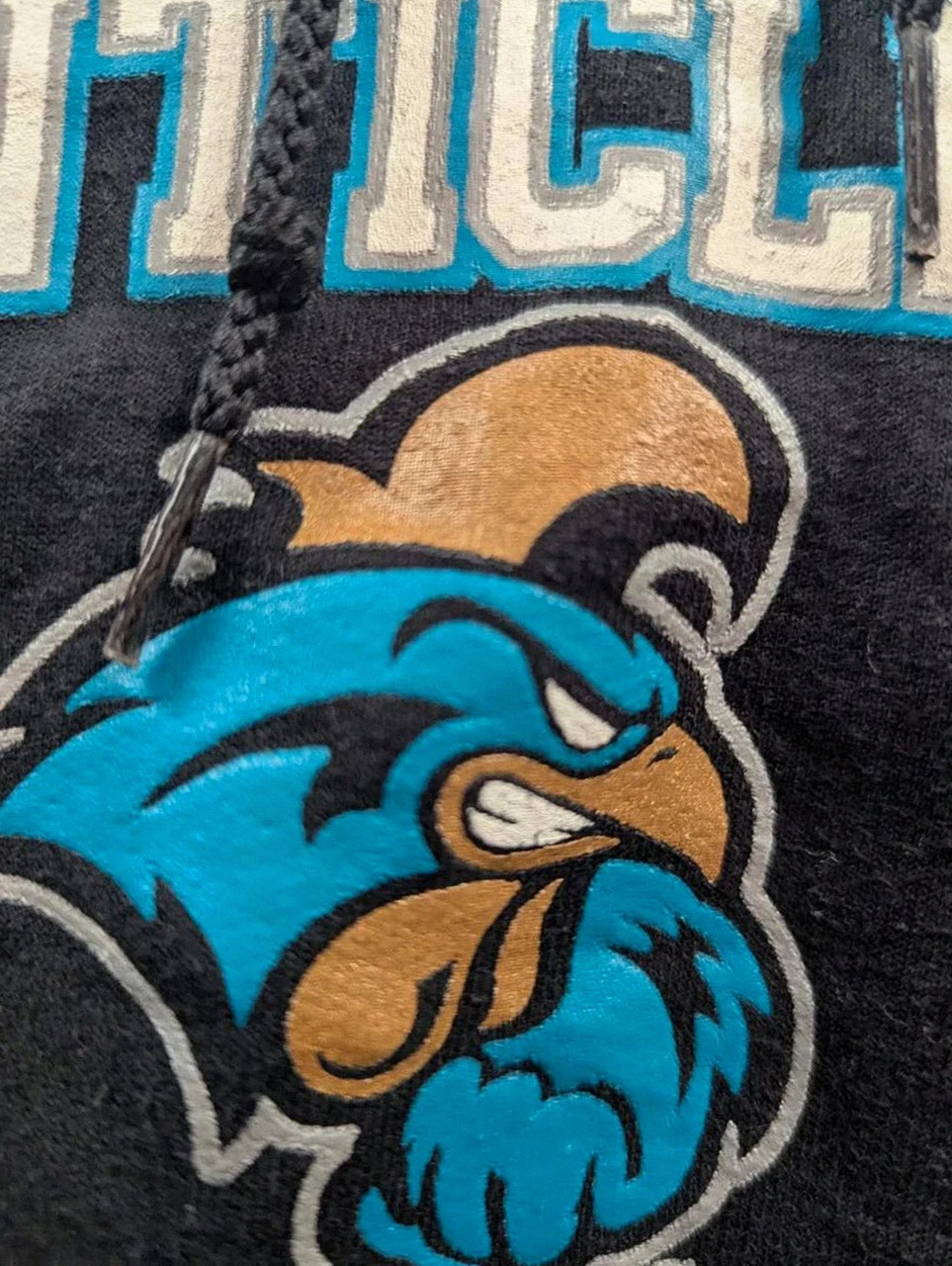 Sweat à capuche Champion Coastal Carolina Chanticleers hoodie noir logo universitaire S – Champion – taille S 3