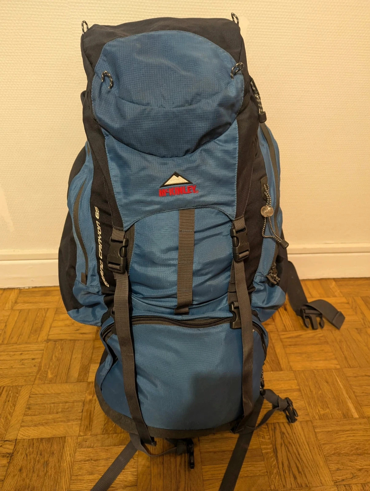 McKinley Grand Canyon 65 – Sac à dos trekking randonnée 65L – MLS System – Outdoor vintage – McKinley 2