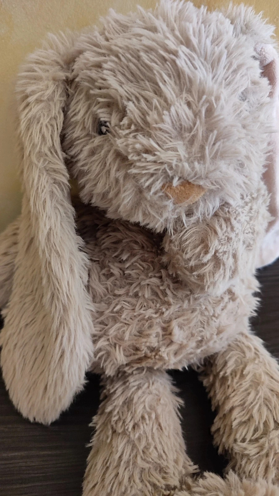 Peluche térmico conejito súper suave | Calor reconfortante y relajante – marca local – taille Taille unique 5