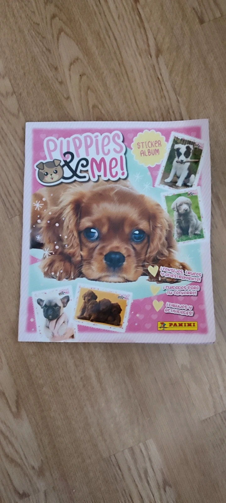 Álbum de cromos – Panini 2