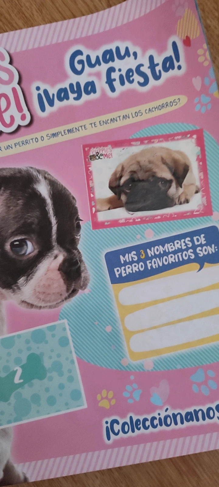 Álbum de cromos – Panini 3
