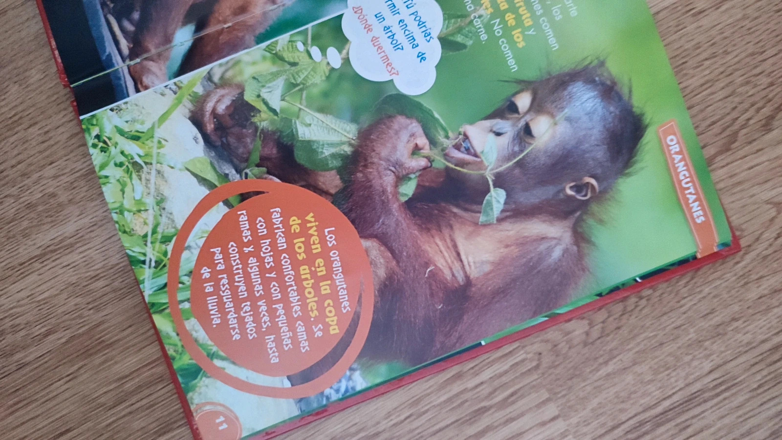 Libro Mis amigos los animales. 2