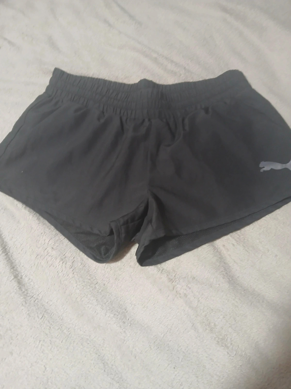 Short puma