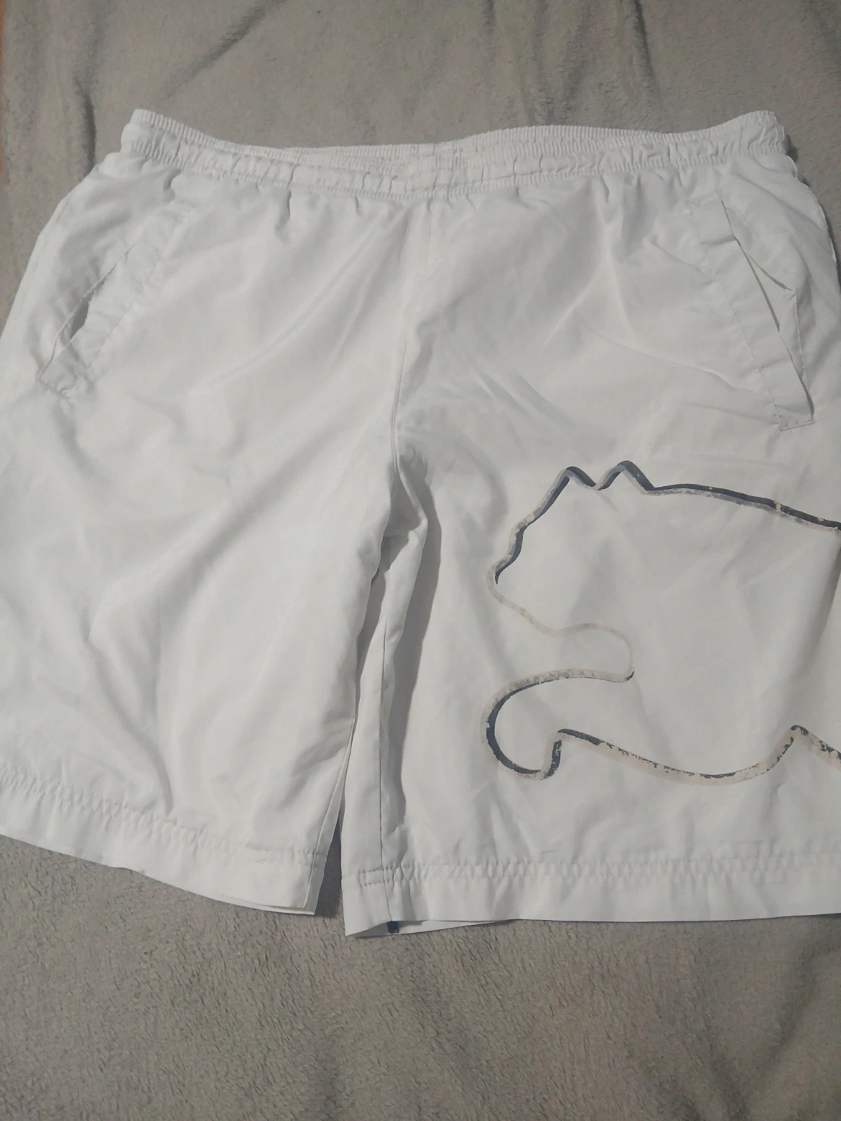 Short puma