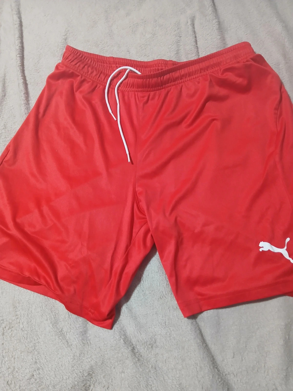 Short puma