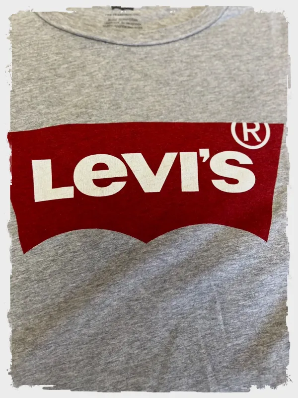 T-shirt Levi's gris avec logo batwing rouge – Levi's – taille XS 4