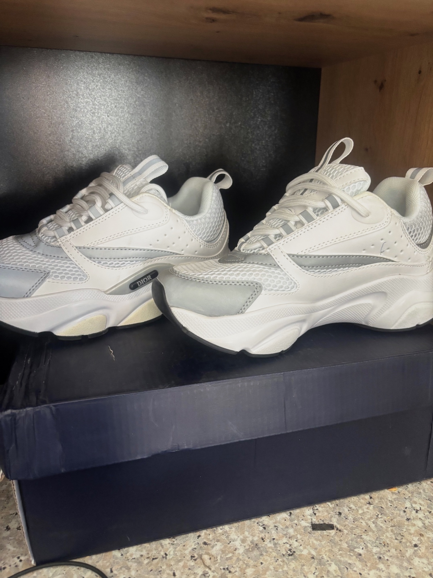 Dior b22
