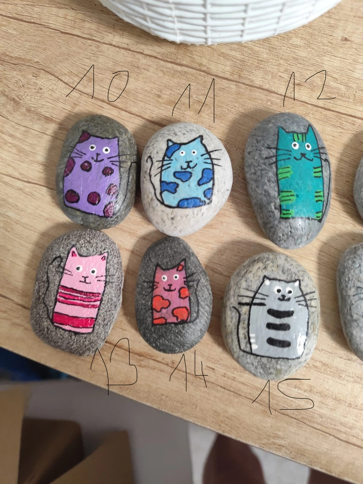 Piedras gatos (amoi) – Amoi 2