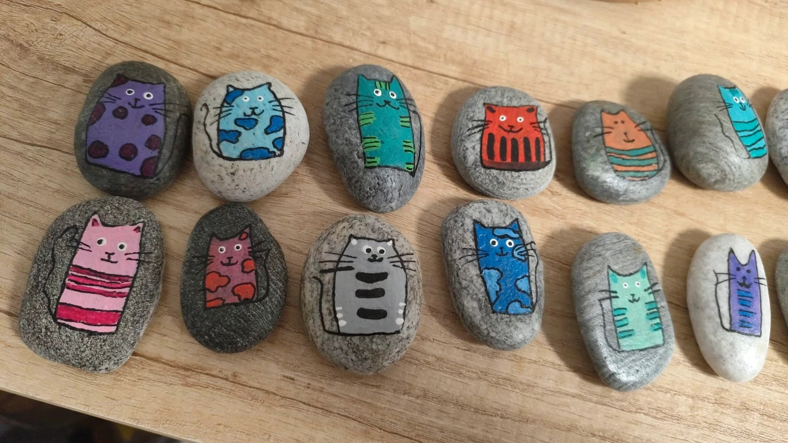 Piedras gatos (amoi) – Amoi 4