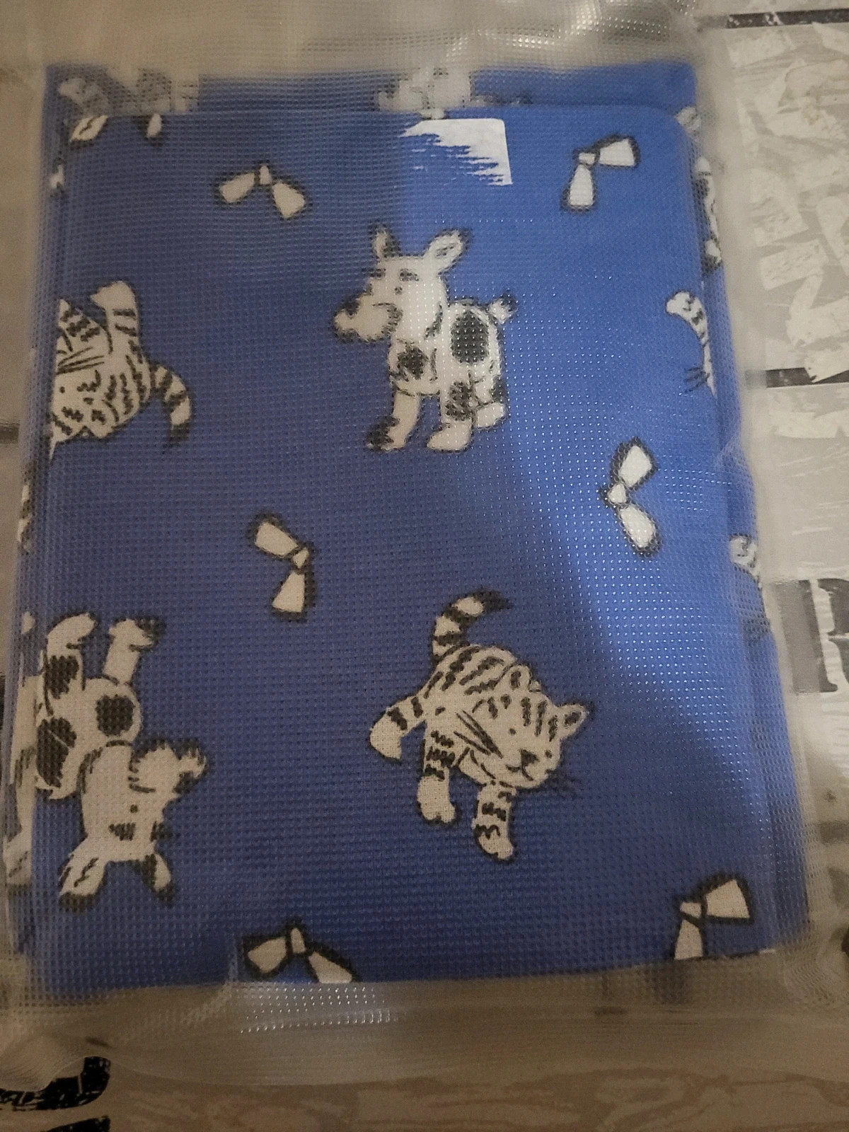 hausse d oreille bleu Léon blanc 2x p n12