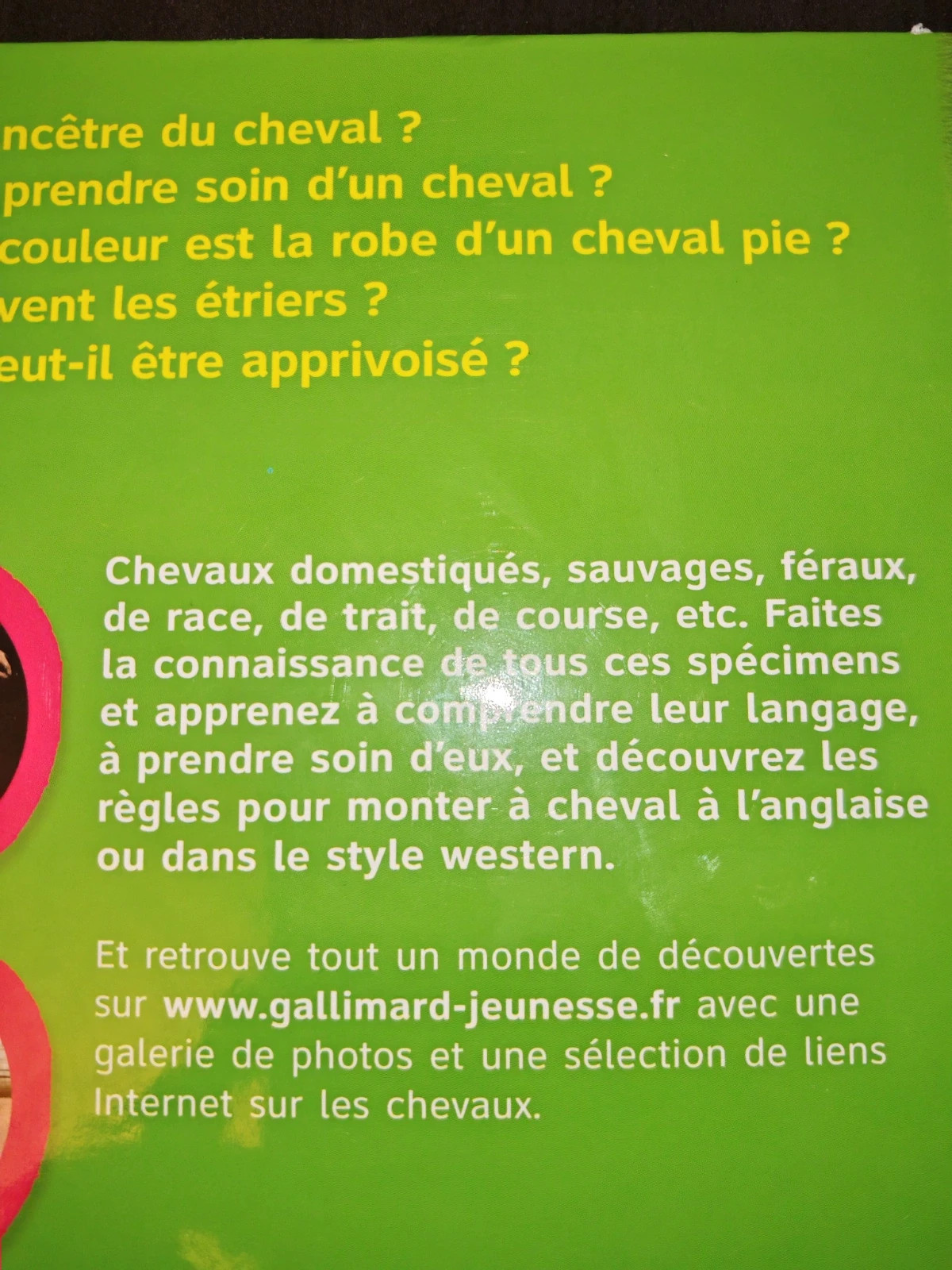 Les Chevaux – Mes grandes découvertes – Gallimard Jeunesse – 6 à 9 ans 3