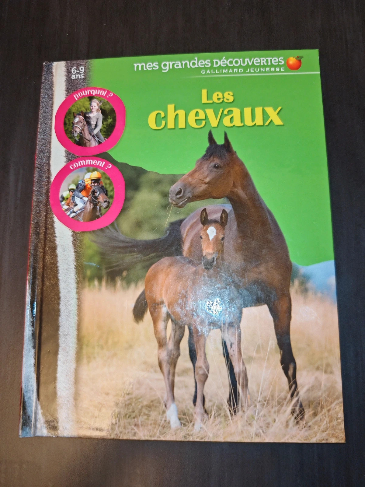 Les Chevaux – Mes grandes découvertes – Gallimard Jeunesse – 6 à 9 ans