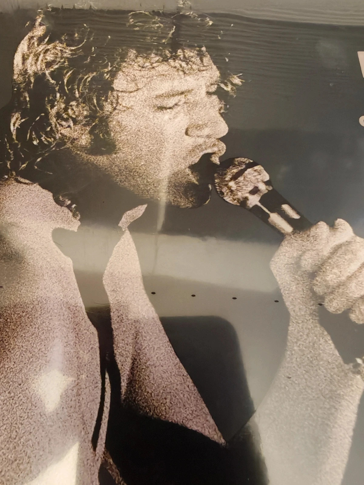 Johnny Hallyday – Livre + DVD Neuf sous blister – 172 photos inédites 4