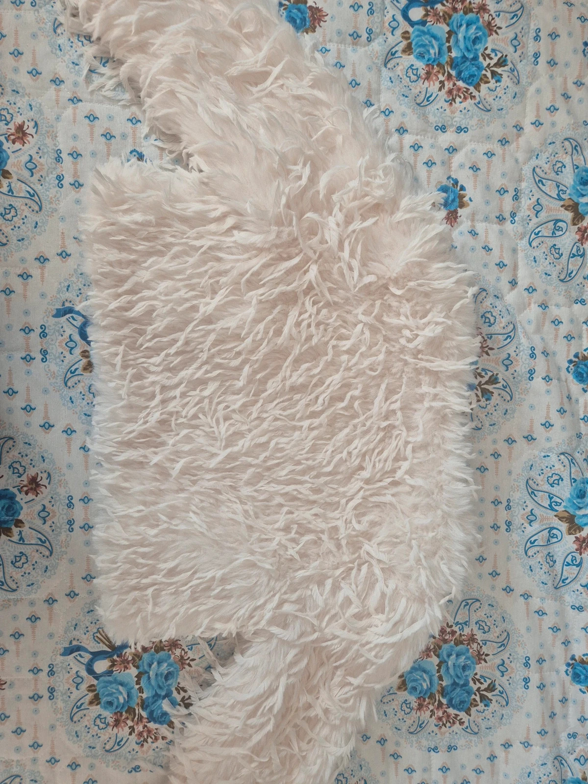 Boléro fausse plume – Orchestra – taille 8 ans / 128 cm 2