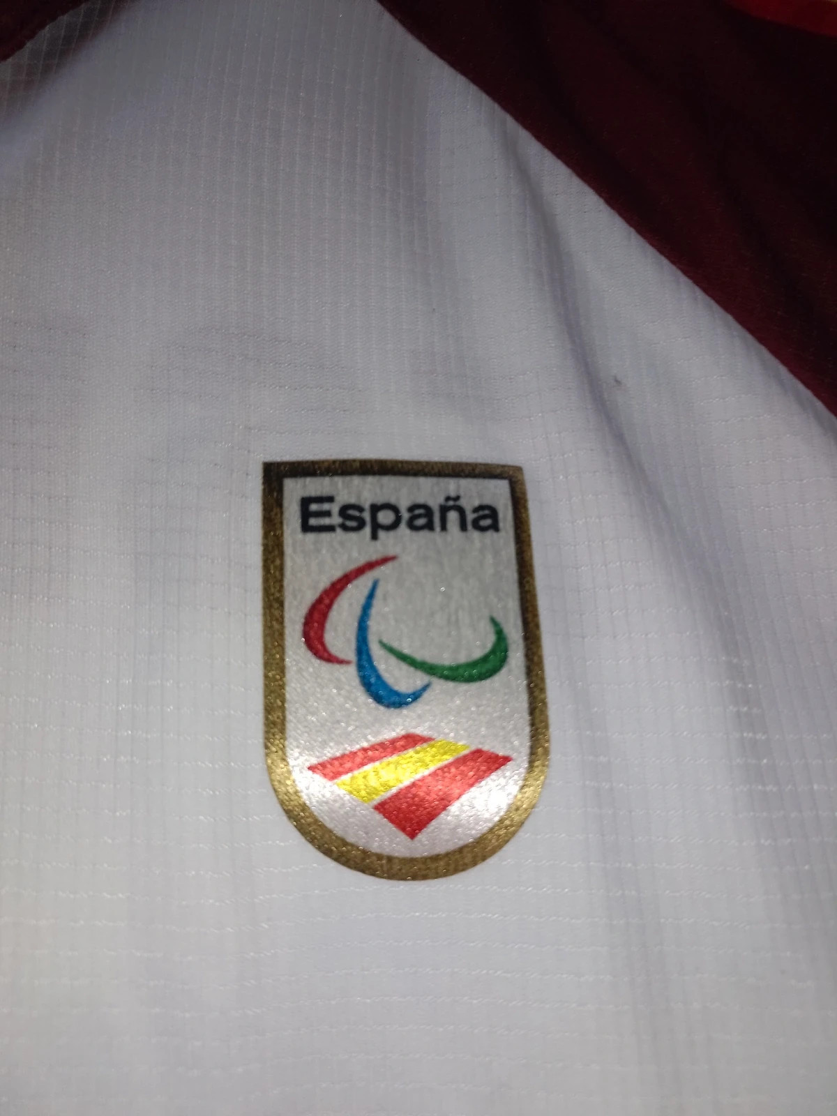 Official Spain Paralympic Luanvi Polo Shirt Size L – luanvi – taille L 4