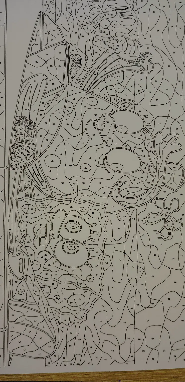 Coloriage mystère russe – Autre 4