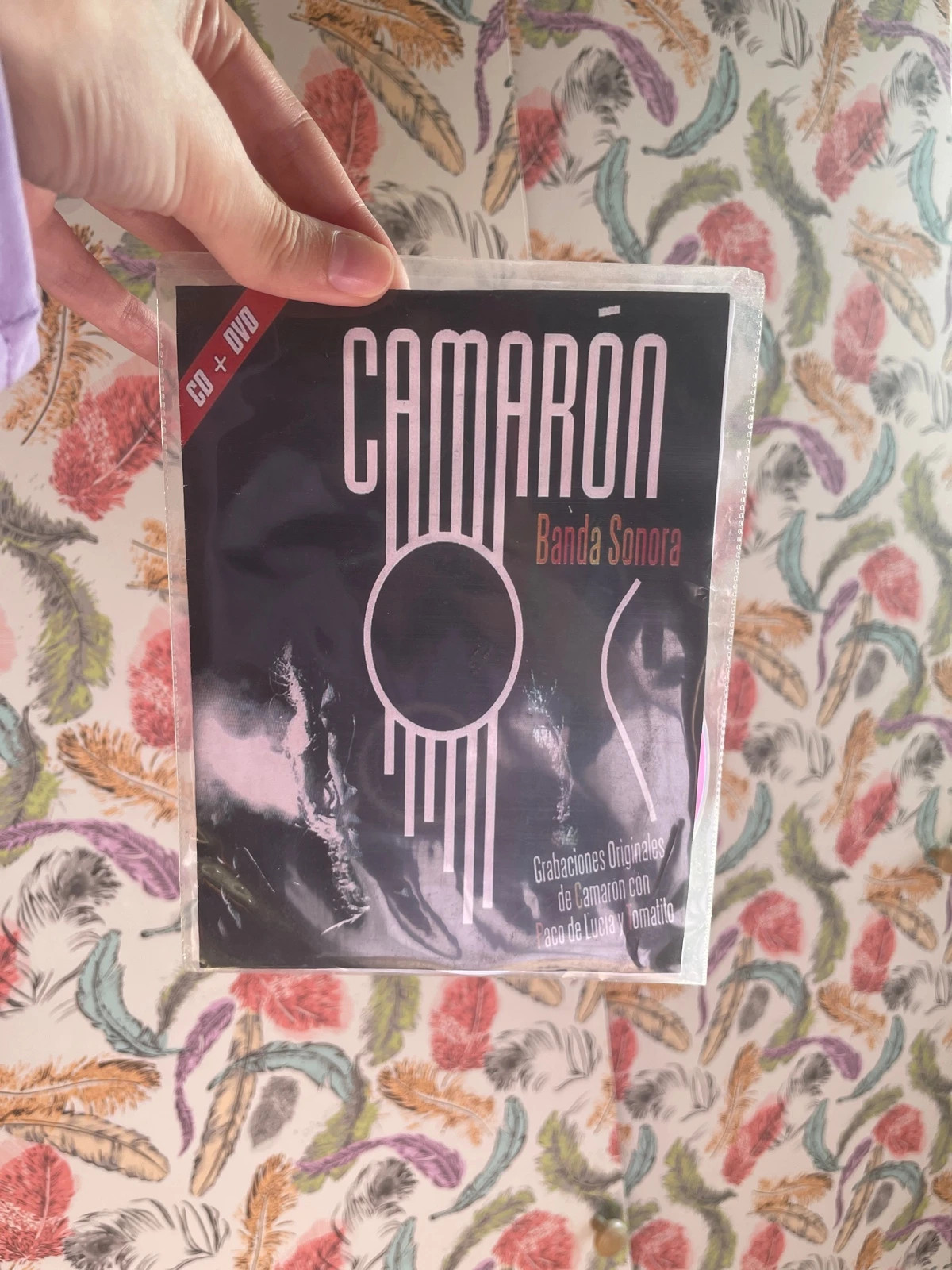 Banda sonora de Camarón
