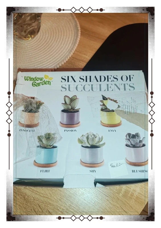 Ensemble six pots – window garden 2