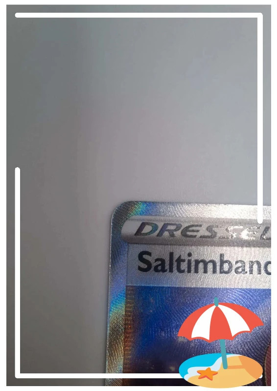 Carte pokémon saltimbanque – Pokémon 2