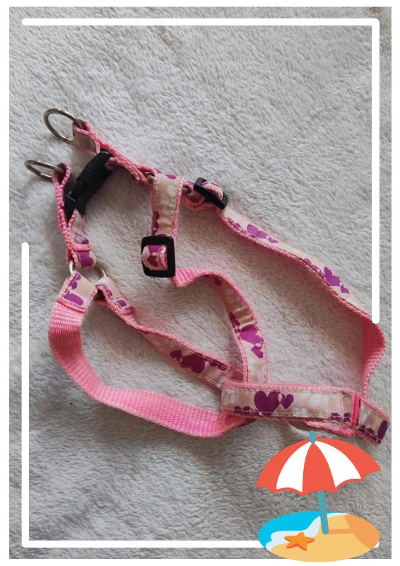 Harnais – Tom & Co – taille L 2
