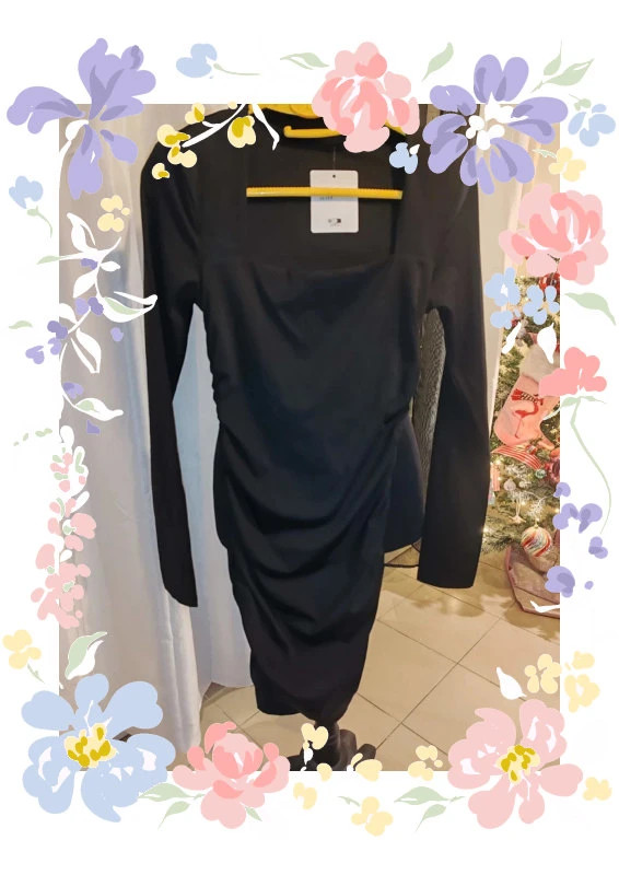 Robe L&S