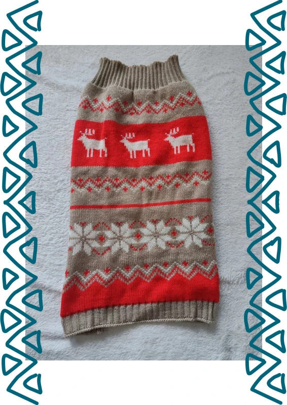 Pull chien