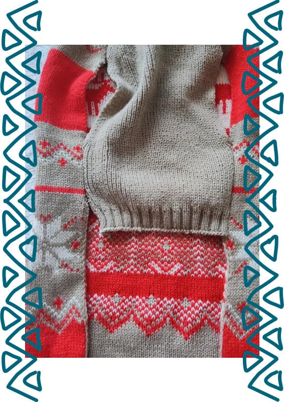 Pull chien – Tom & Co – taille L 3