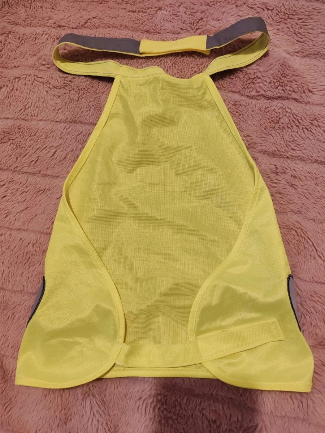 Vêtements chien – Tom & Co – taille M 2
