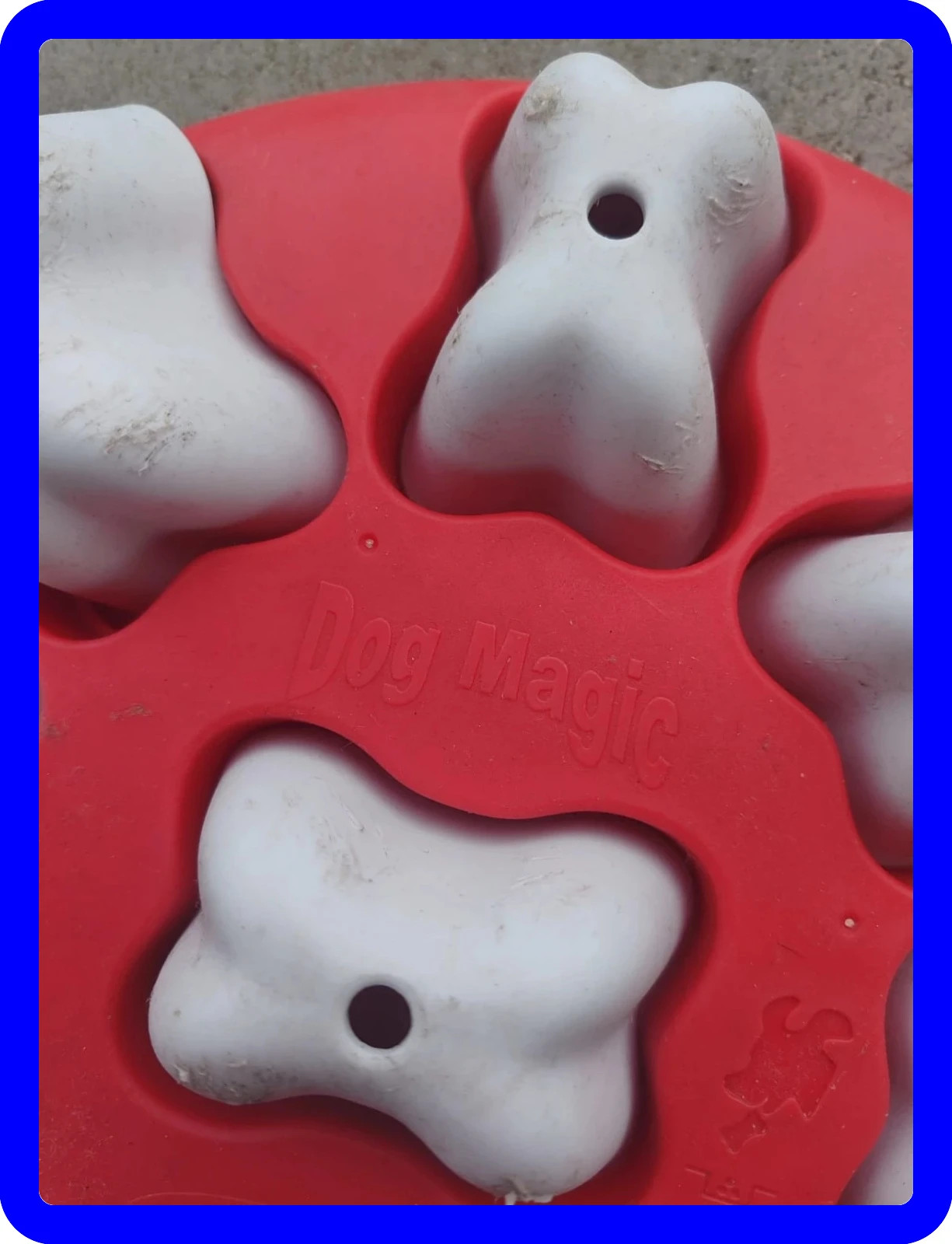 Jeu dépense mental animaux dog Magic – dog magic 3