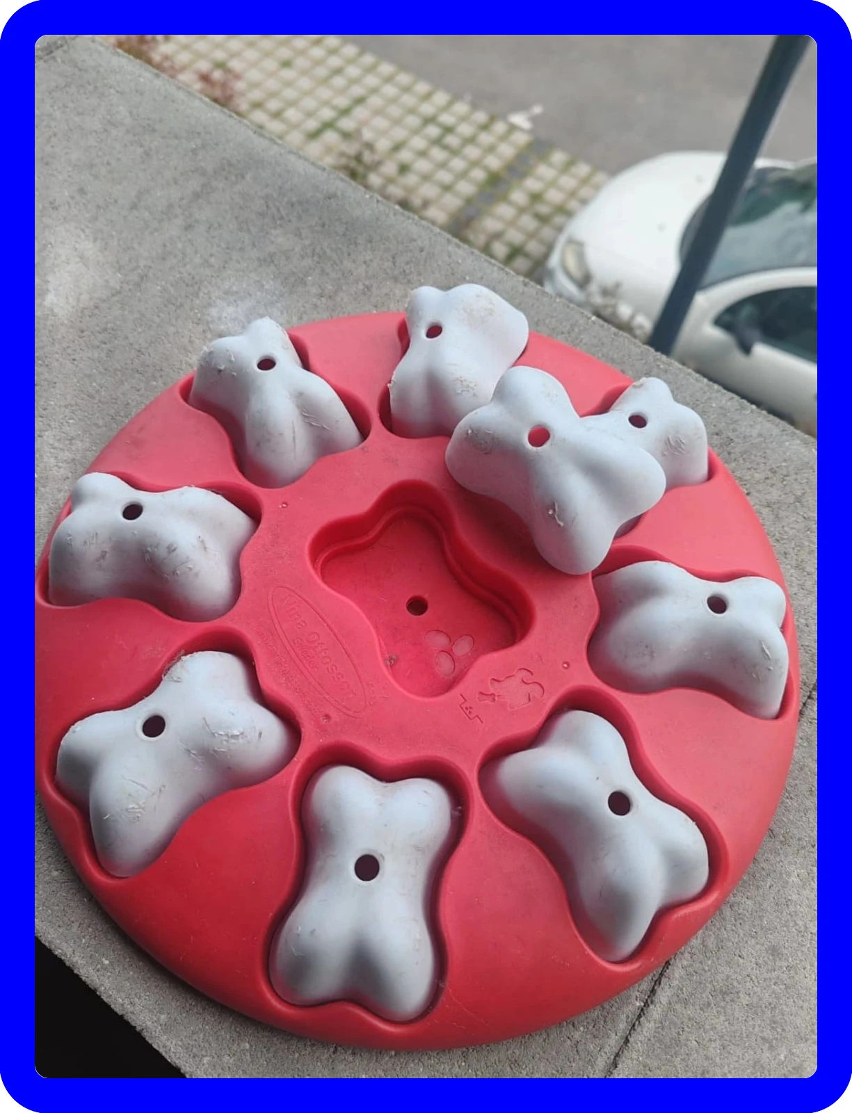Jeu dépense mental animaux dog Magic – dog magic 2
