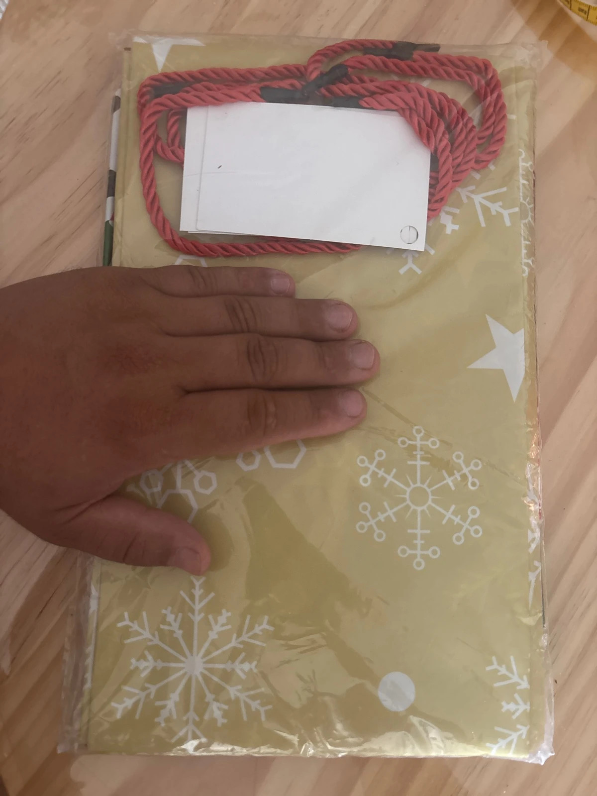 3 hotte de Noël 🎅 en plastique avec carte et cordon – Noël 2