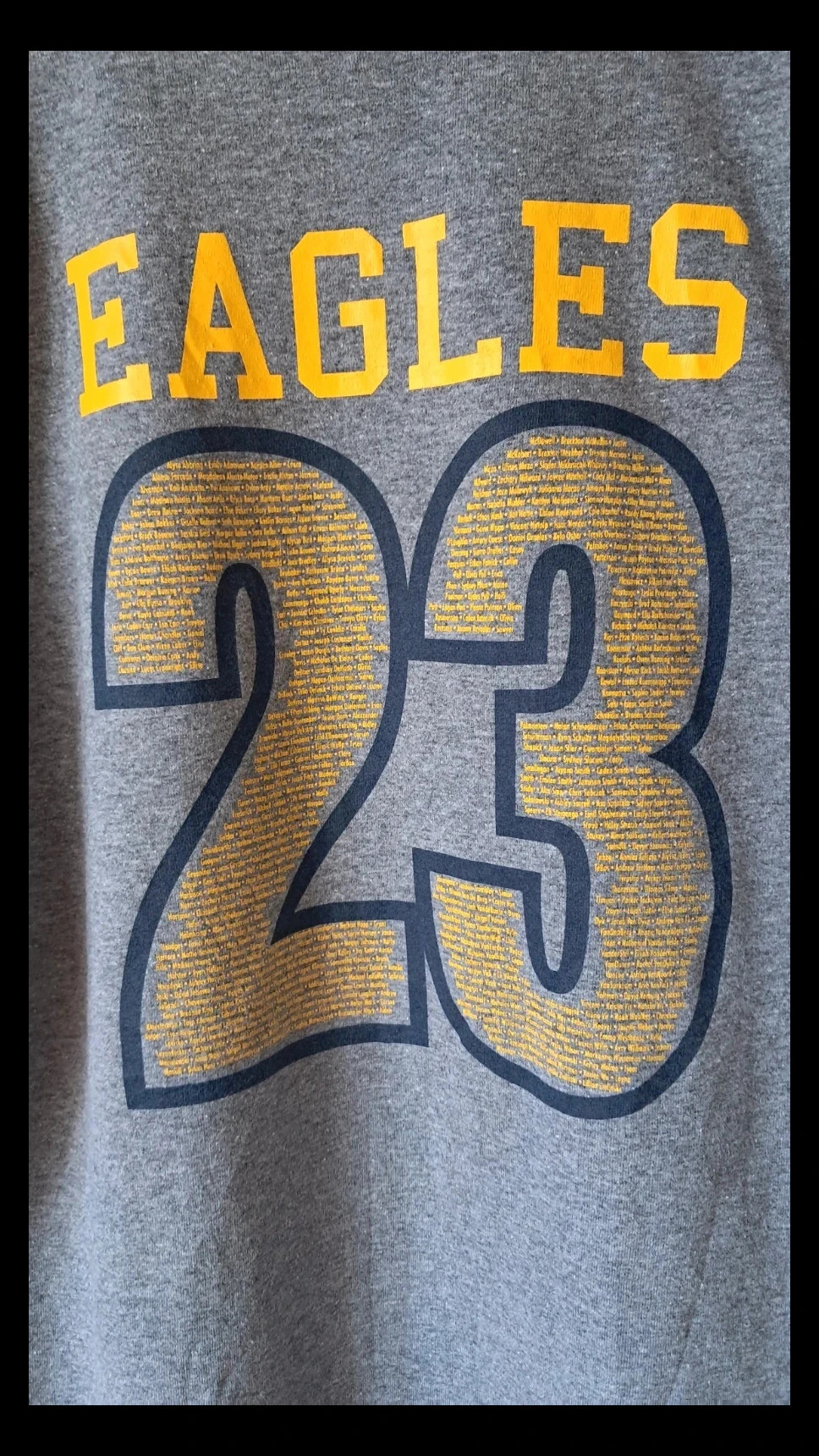 Gildan L - T-shirt Basketball 23 USA Hudsonville High School Eagles – Gildan – taille L 5