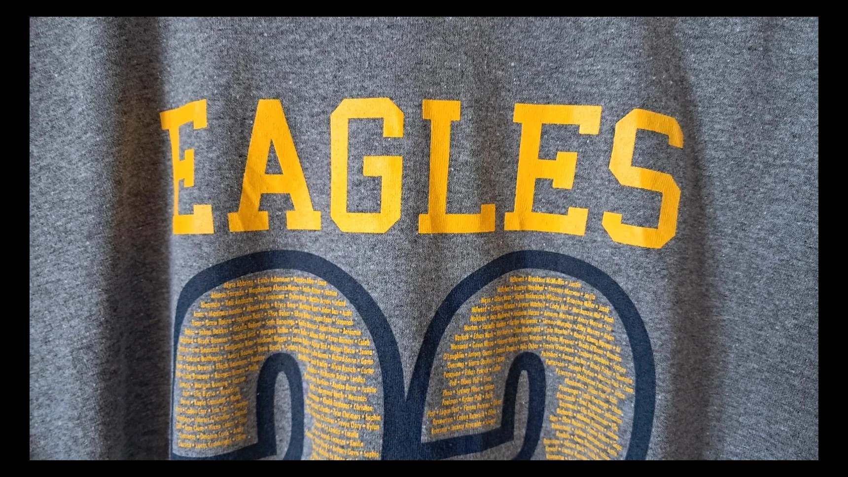 Gildan L - T-shirt Basketball 23 USA Hudsonville High School Eagles – Gildan – taille L 4