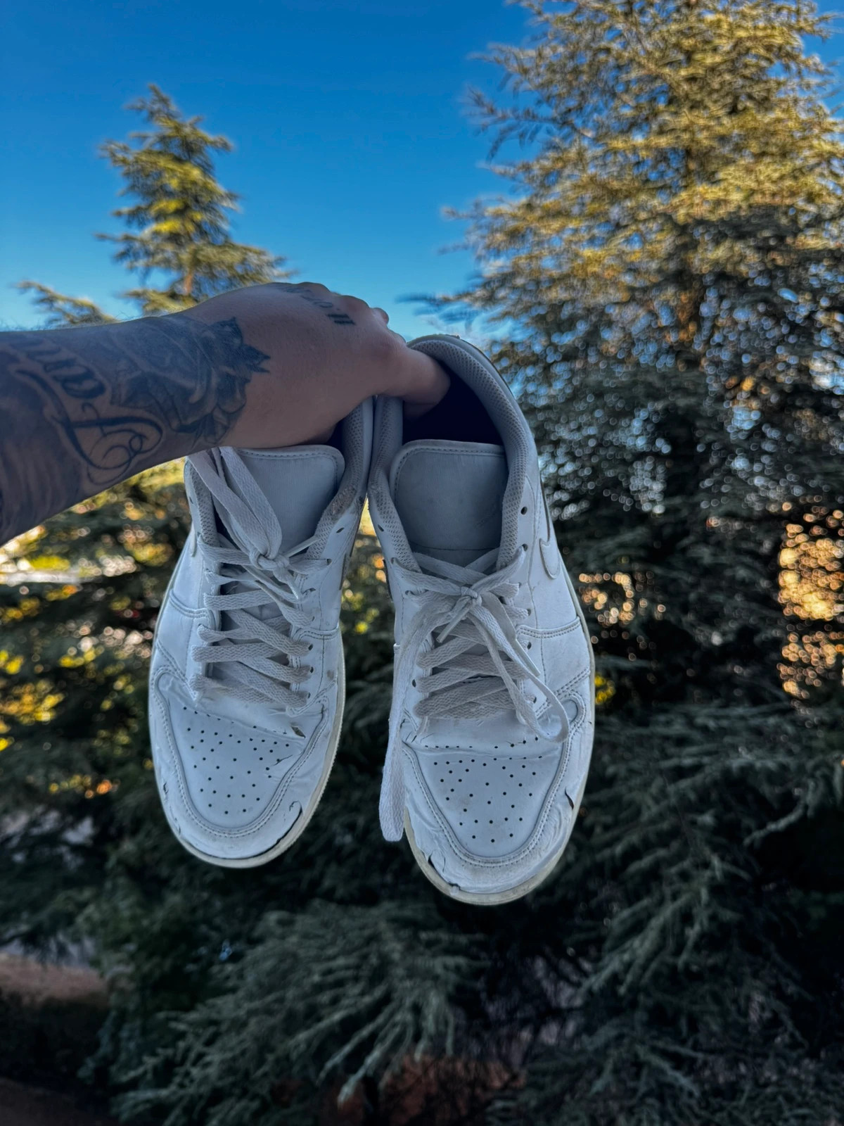 Air Jordan low 1 – Jordan – taille 43 3